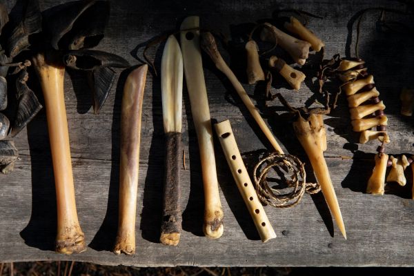 Bone tools display