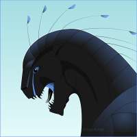 Yaraan, head portrait