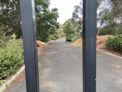 Bentleigh Secondary College forest path