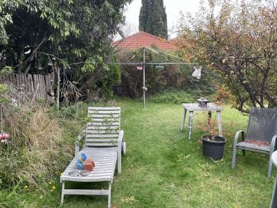 Backyard before clearing