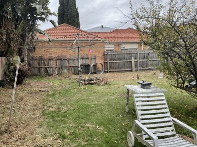 Backyard after clearing