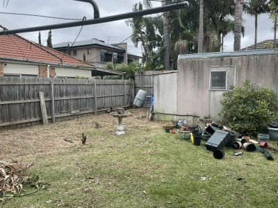 Backyard after clearing