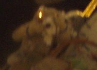 Reflection of Sergei in John’s spacesuit helmet visor