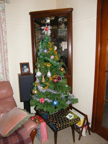 Our 2015 Christmas tree